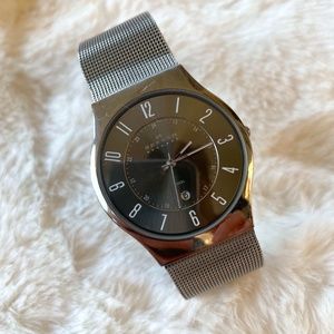 Skagen Men's stainless steel mesh watch